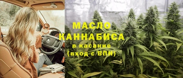 прущие грибы Коряжма