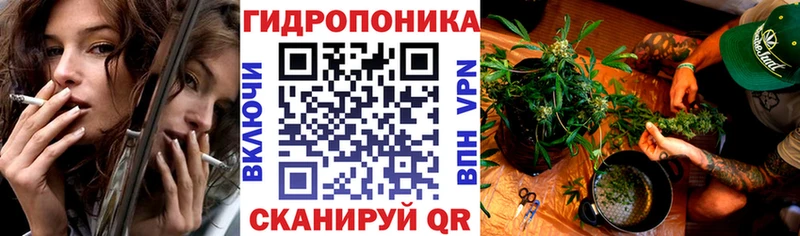 Конопля ГИДРОПОН  Магас 